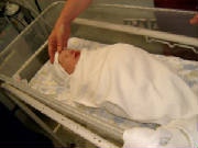 1stpic.jpg